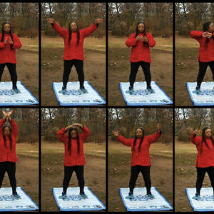 8 Wk. ADVANCED QIGONG with option for CERTIFICATION as Trainer of Qigong Self-Care (Live online) WED. Eve., May 13 - July 01, 2026, 7:00-9:00 PM, EST