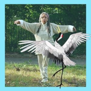Soaring Crane Qigong – Level One, Year-long Training Series (In 4-Parts with 2-Series each / Training & Practice sessions) : Sept 2026 - Aug 2027